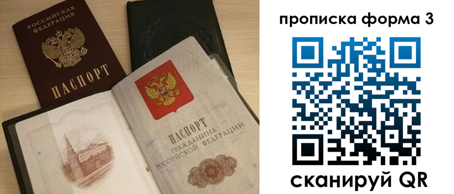 прописка для школы в Волосово