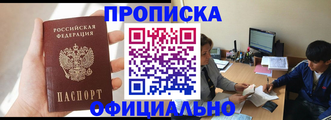 временная регистрация надежно в Волосово